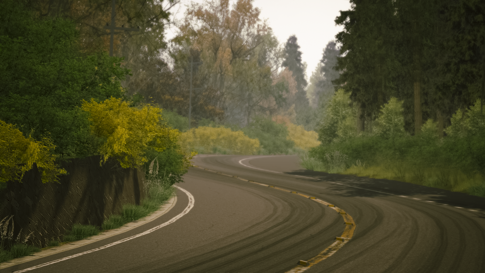 Dousojin Touge Track For Assetto Corsa