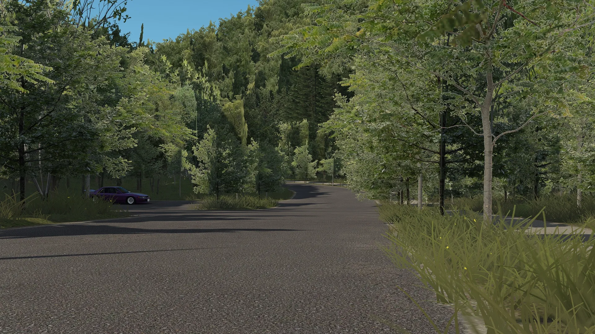NDP Kakamigahara touge Track For Assetto Corsa