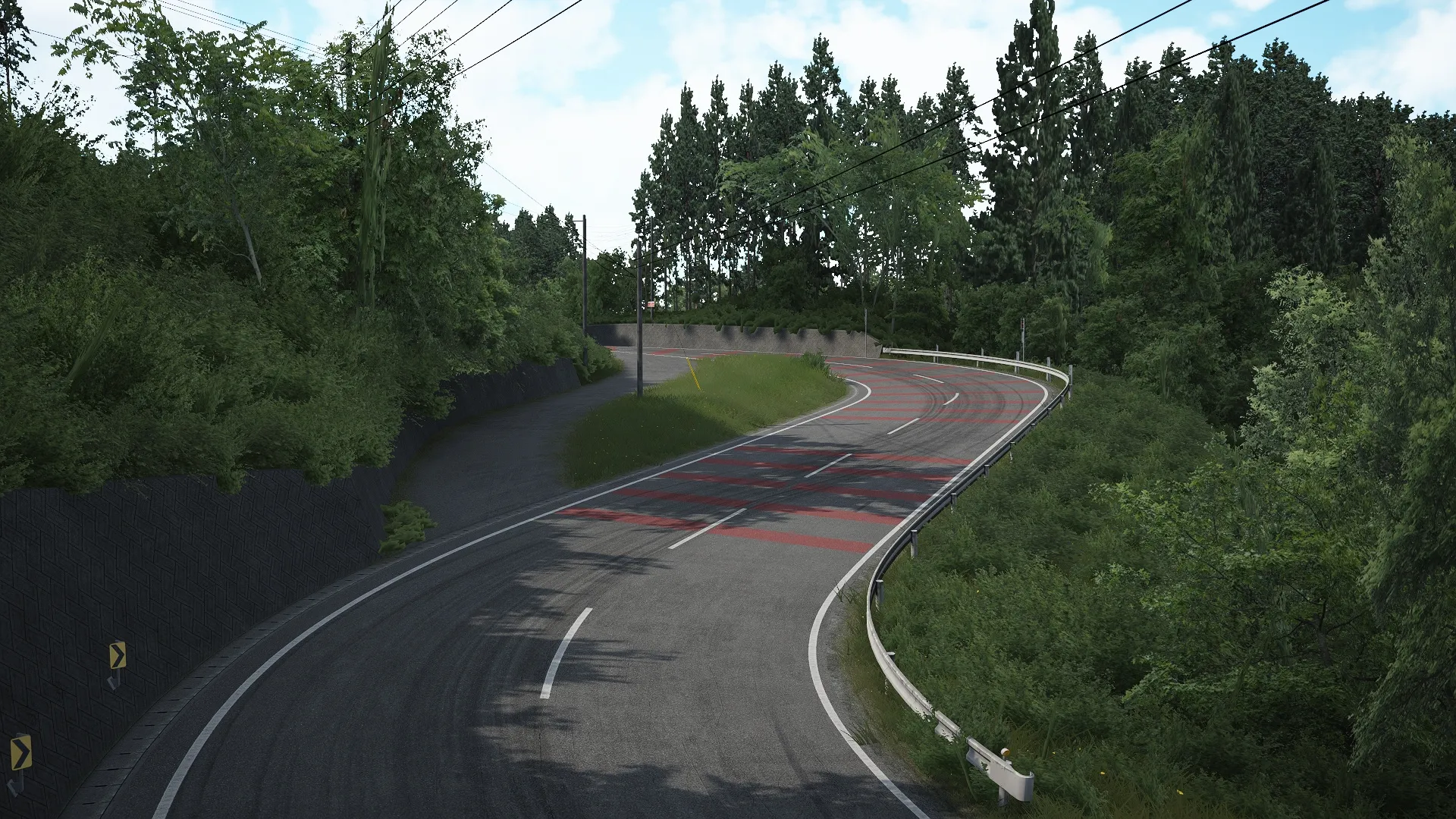 NDP Tsuru Country Track