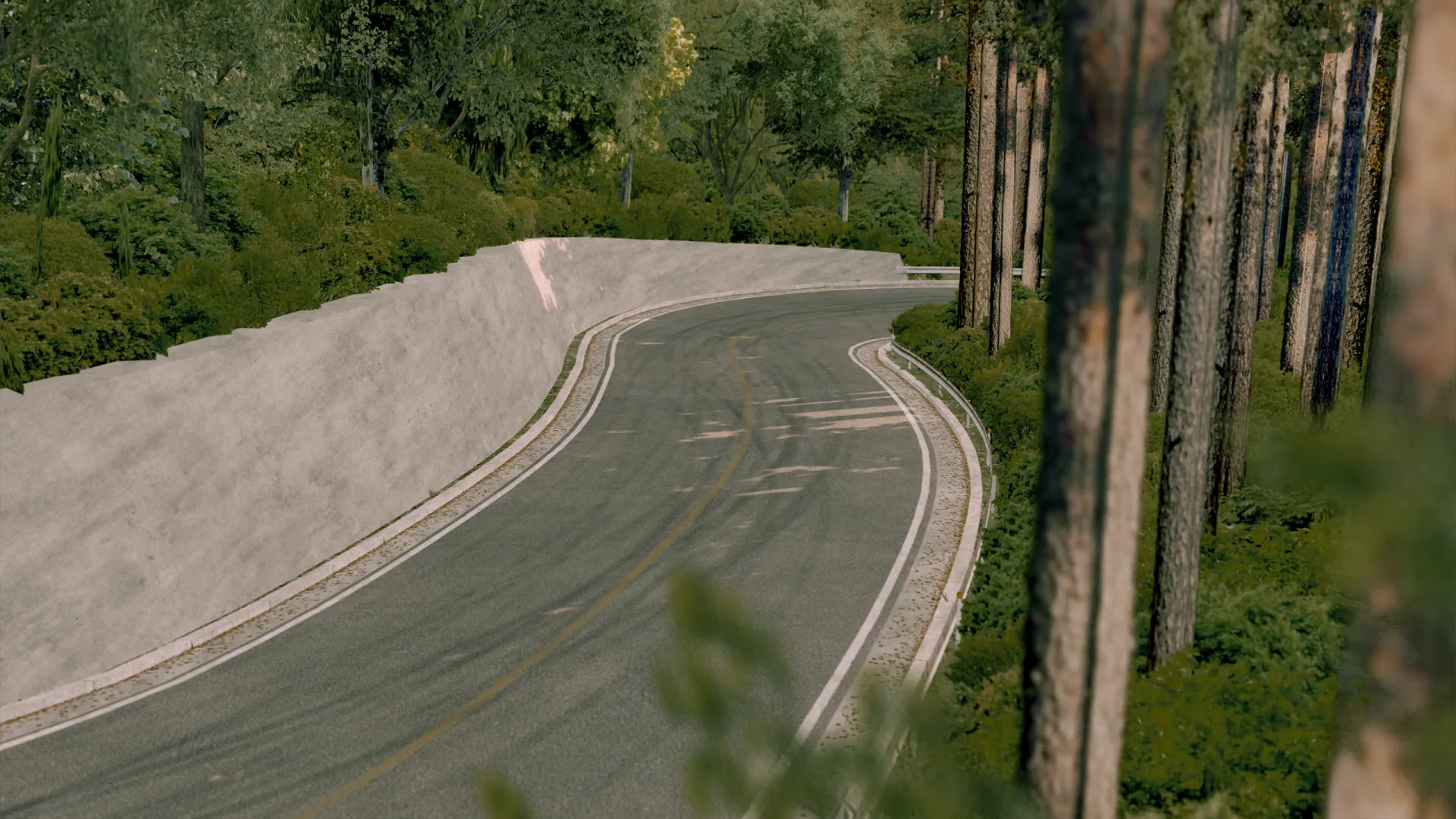 Nijusei Touge Track For Assetto Corsa